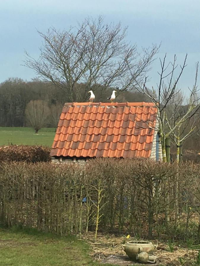 B&B De Hostelier Ursel Exteriér fotografie
