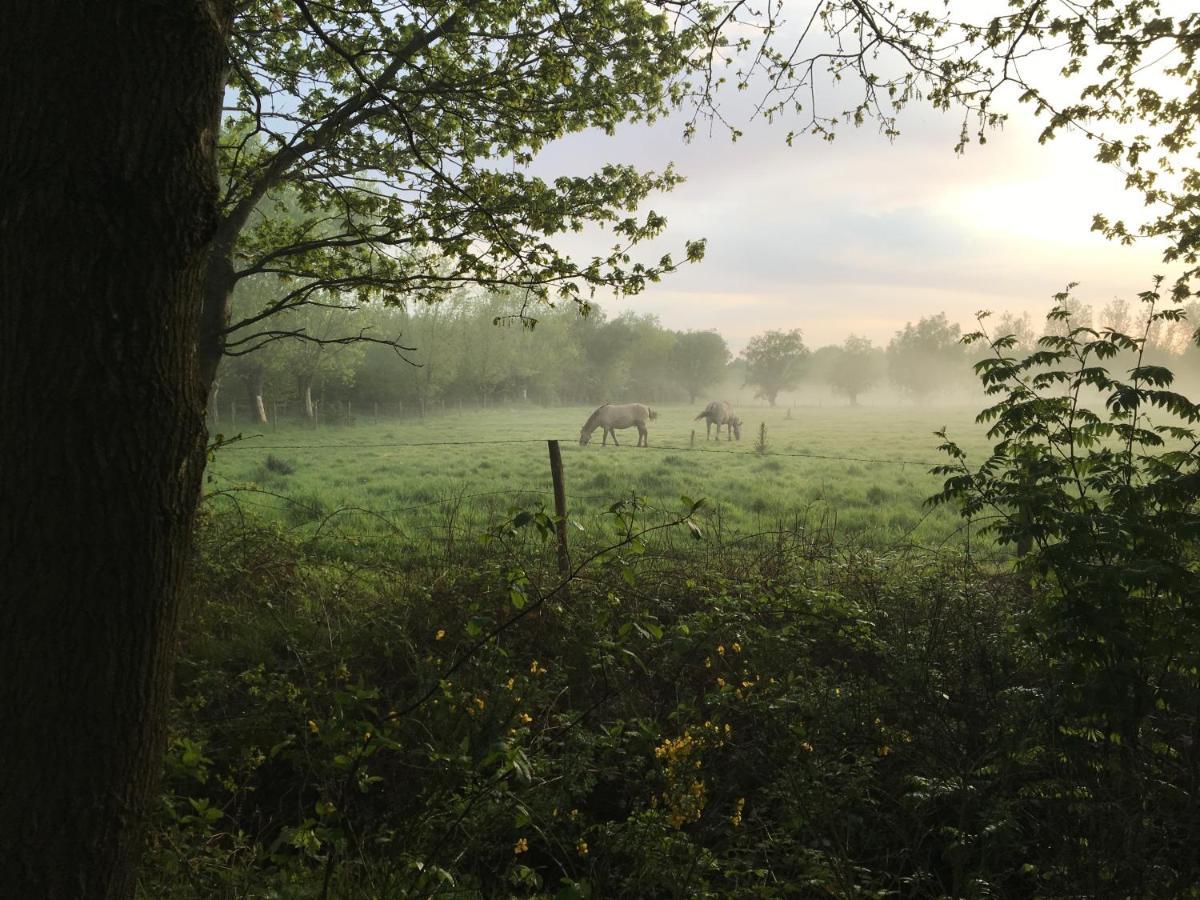 B&B De Hostelier Ursel Exteriér fotografie